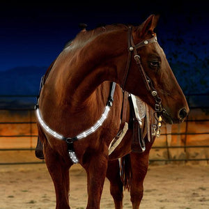 LED HORSE TACK