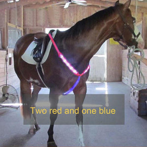 LED HORSE TACK