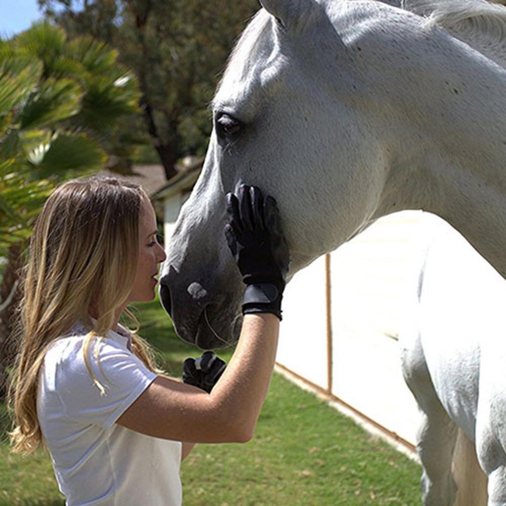 Grooming Deshedding Glove  For Horse Hair