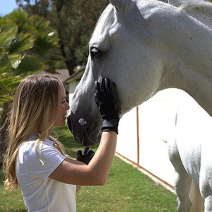 Grooming Deshedding Glove  For Horse Hair